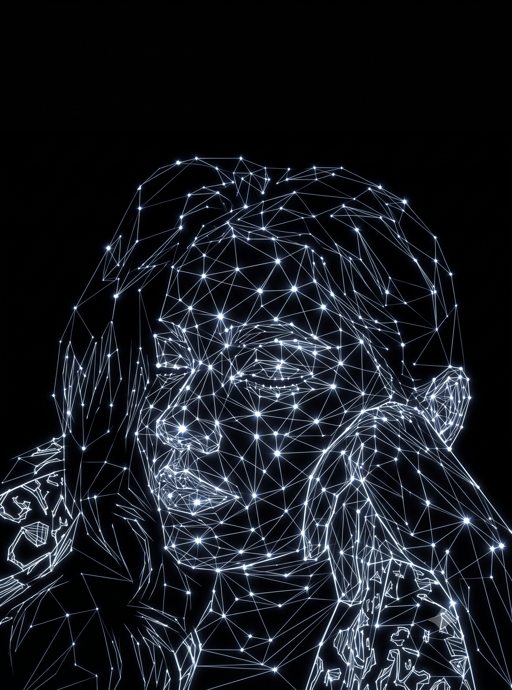 Her Face in Stars